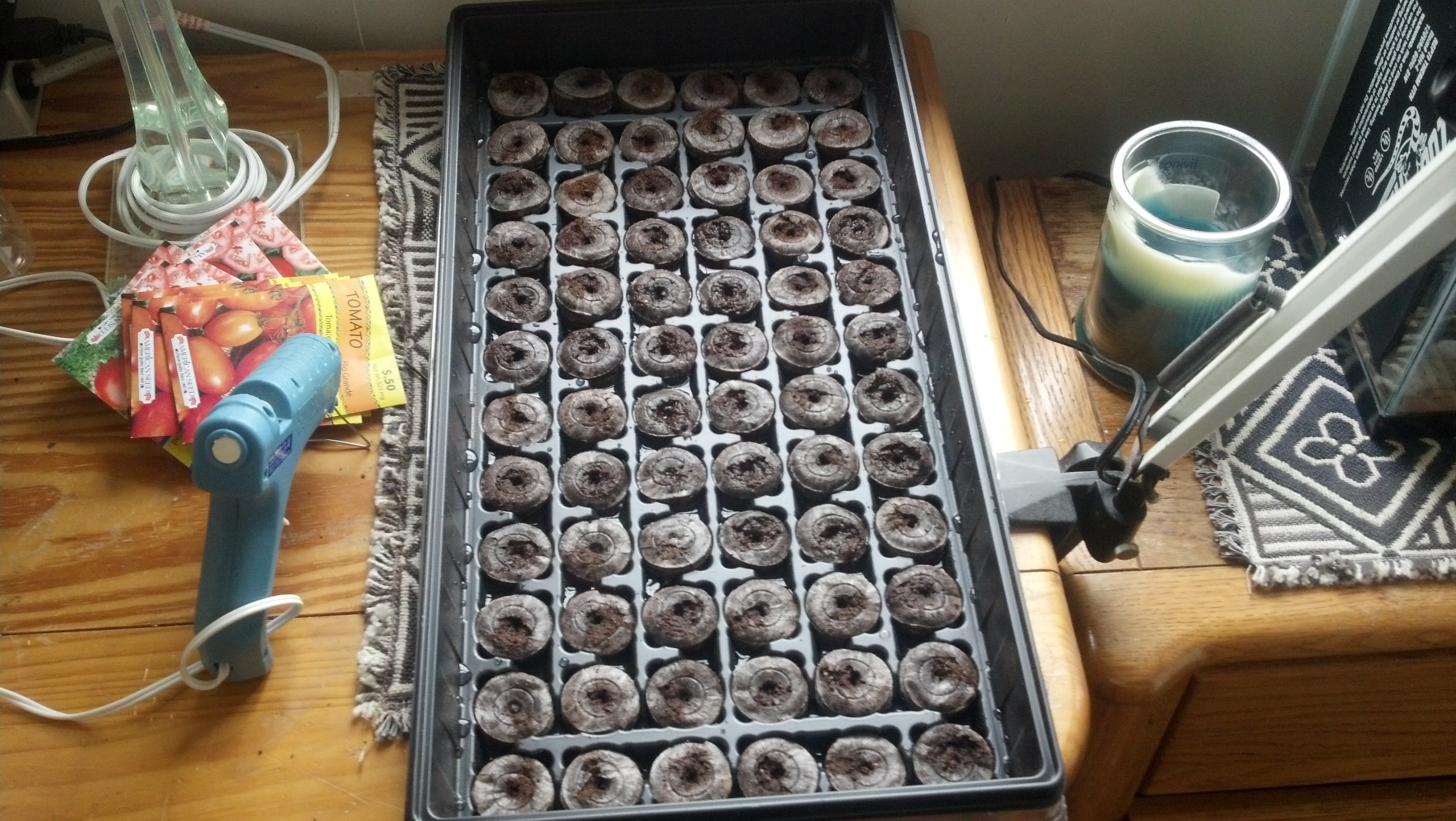 Here is the grid with around a gallon of water added.